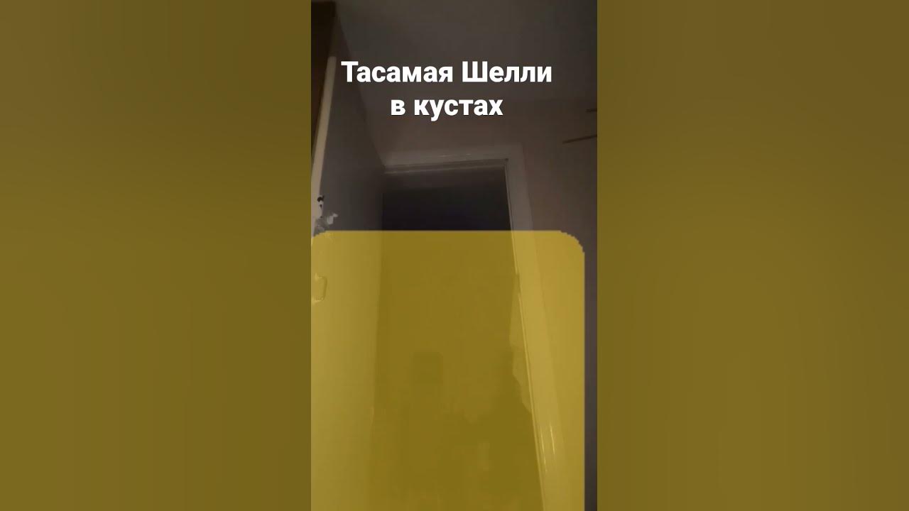 йцуке - YouTube