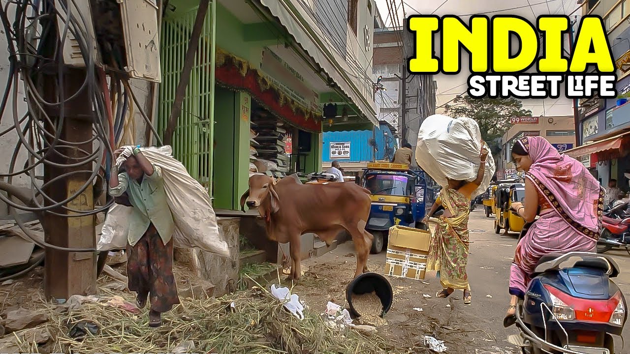Вот такая Индия СЕЙЧАС 🇮🇳 | Настоящая уличная жизнь в 4K