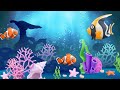 Sea Fish 🐟 Aquarium 🐟 Underwater Animation🐟The sound of water and Soothing Music