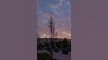 الآية 27 من سورة النساء بصوت القارئ #ياسر_الدوسري