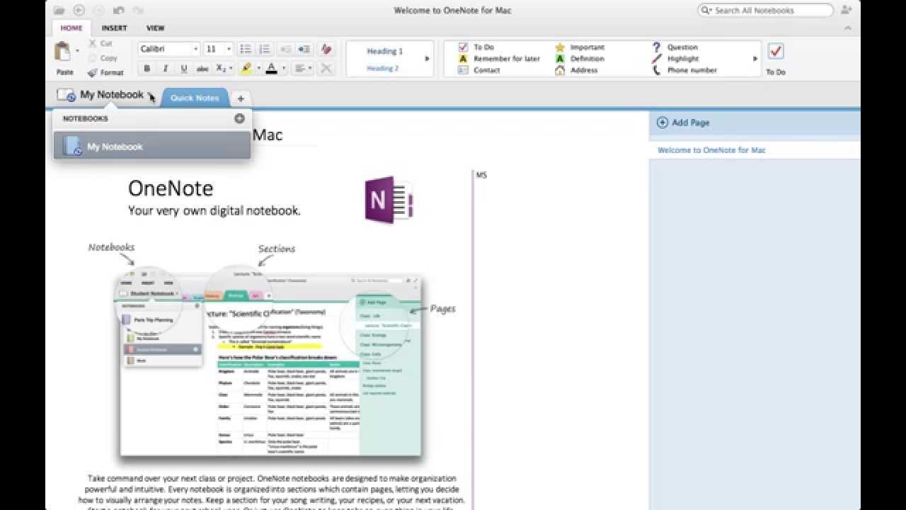 microsoft onenote for mac not working