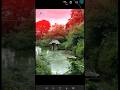 Lightroom photos editing tutorial