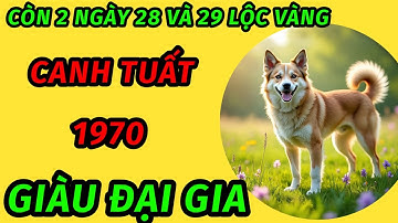 Nghe thầy còn đúng 2 ngày vàng cuối tháng 8 âm lịch cho tuổi canh Tuất 1970 ôm lộc giàu đại gia 