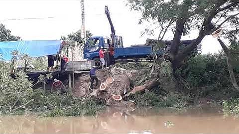 Cần cẩu , cẩu cây siêu to nghiêng xe xem thót tim.