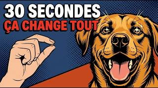 L’activité que votre chien ADORE : La stimulation mentale (que vous oubliez souvent)