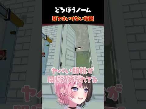 ［ #どろぼうノーム ］捕まってしまったのあちゃん［橘ひなの/ぶいすぽっ/胡桃のあ/ゴリちゃん/トナカイト/ヘンディー/猫汰つな/kamito］