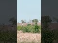 Zero line india PAKISTAN MOGE LAL DARBAR