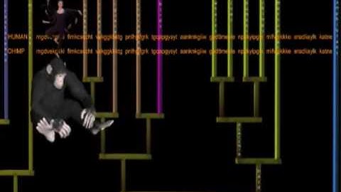 Evolution: Genetic Evidence - Ubiquitous Proteins