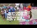 Gender Reveal 💗💙| I’m about to be an auntiee !!