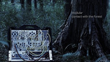 Ensemble Oscillator + MATHS Ambient / Qu-Bit Chord V2 Beads Disting plaits Marbles