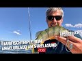 Raubfischtriple beim Angelurlaub am Strelasund | Angebissen Episode 14