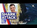 Man dies after shark attack while holidaying | 9 News Australia