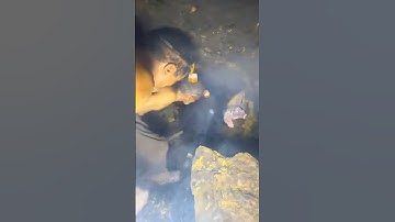 देखिए ब्लास्टिंग कैसे किया जाता है अंडरग्राउंड माइंस में#shortvideo #shorts #shortsfeed 🤔🤔🤔🤔