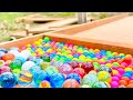 ASMR strange board made in the garden Marble Run Race ASMR5 #marblerun #rollercoaster #stisfying