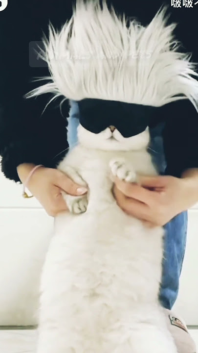 Animals and pets episode 71 #shorts #funny #cute #aivideo #catanddogs