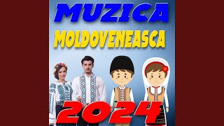 Hituri de Petrecere 2024 Moldovenesti