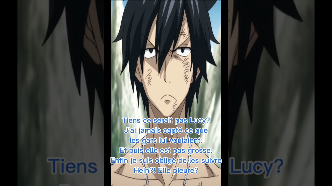 Fanfiction Fairy tail Luxlu:MERCI!!!