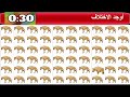 الاختلافات بين الصور لعبة 266 