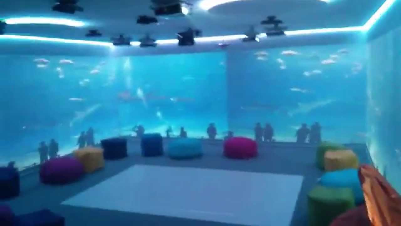 Immersive Interactive Ltd: Create a calming and educational aquarium ...