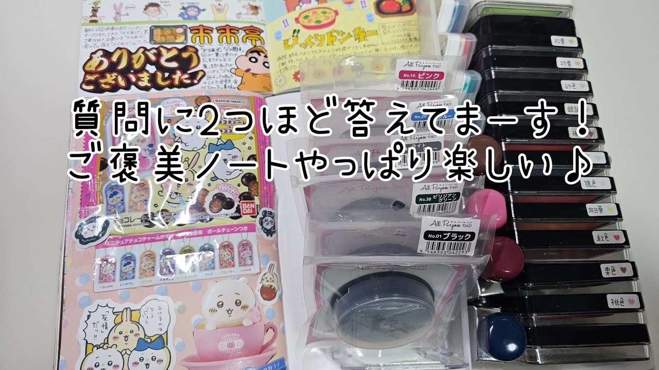 こむぎと、きり丸から始まります😆質問に答えてますが分かりにくかったら、また聞いてね🤗【声あり】#手帳 #ほぼ日カズン #作業動画 #ASMR 