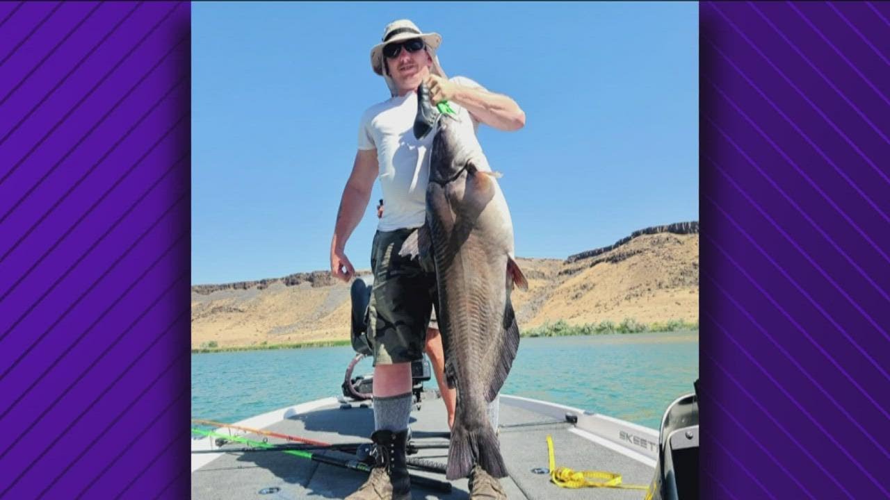 Catfish pulled from CJ Strike Reservoir breaks Idaho record YouTube