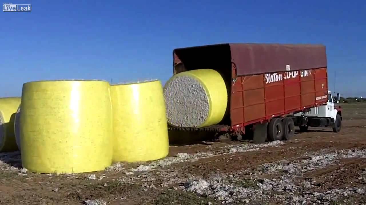 Bild från Duktig lastbilschaufför