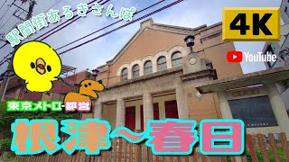 【4K】駅間街あるき　東京メトロ:根津～都営:春日　Walking around town between stations: Nezu - Kasuga