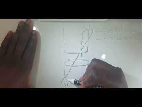 Tendon Repair:  Cruciate