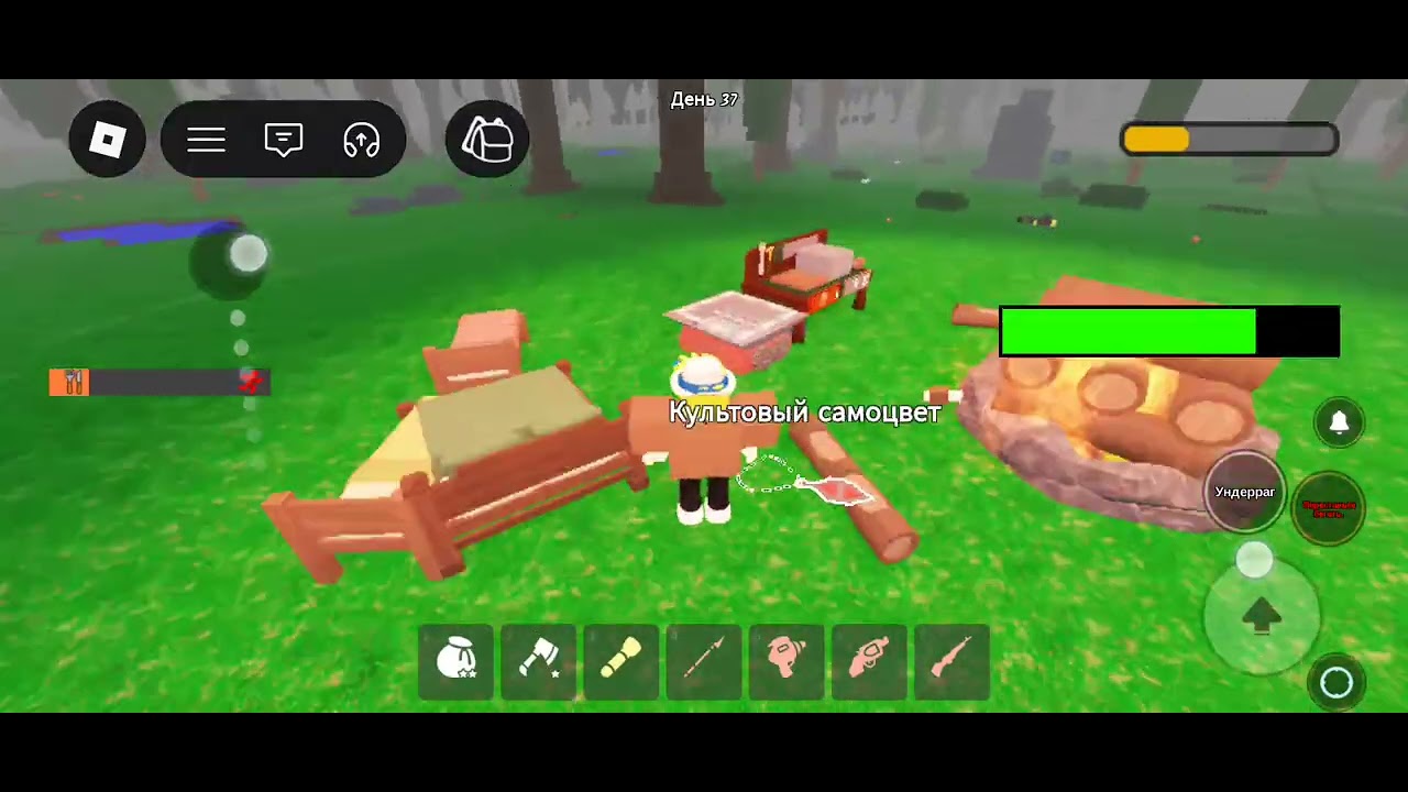 Вернулся и выжив 99 ночей в лесу