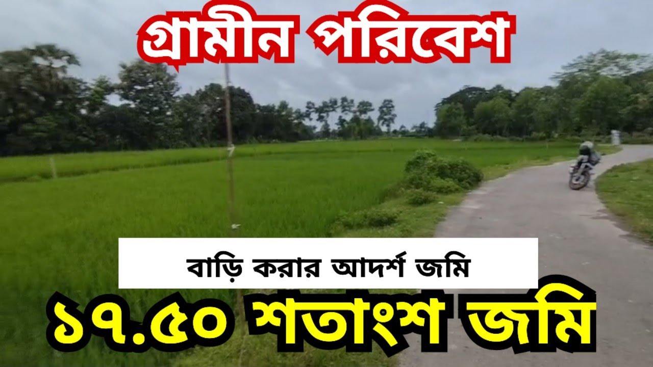 মনোমুগ্ধকর পরিবেশে জমি বিক্রয় হবে | জমি বিক্রি | jomi bikroy | jomi bikri | land sale | land sell