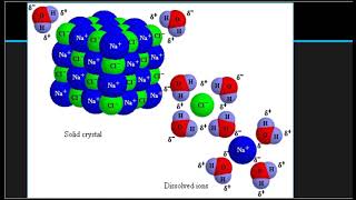 Chemistry Module 10 Solutions