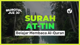 Murotal Juz 30: Belajar Membaca al-Quran Surat at-Tin