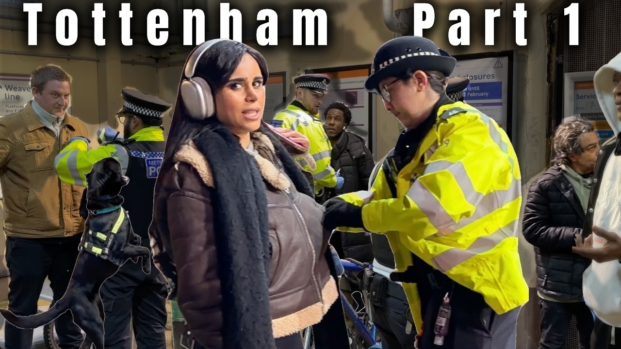 NORTH LONDON TO THE DOGS