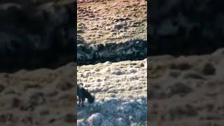 7 Kat Sema 7 Bin Yıl1