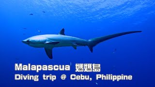 Malapascua island 媽媽島潛旅 | Diving Trip ＠ Cebu, Philippine｜休閒潛水 | Fun dive