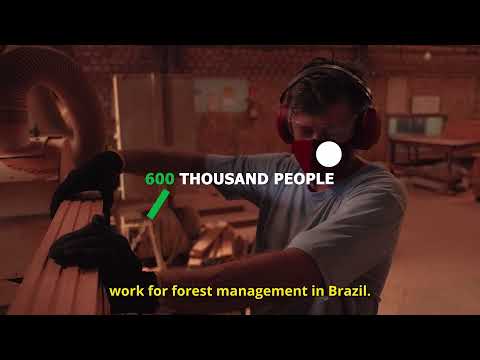FNBF | Conservação Florestal