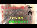 【ちょいasmr風】【食テロ】友達と牛角行ってきたけどうま過ぎてヤバかった！！w