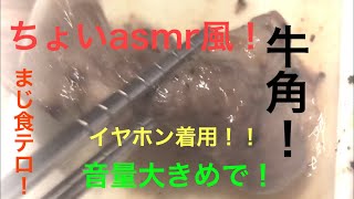 【ちょいasmr風】【食テロ】友達と牛角行ってきたけどうま過ぎてヤバかった！！w