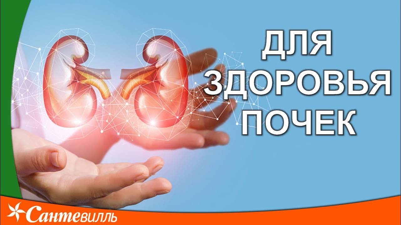 Как вылечить пиелонефрит и цистит| Сантевилль - оздоровительные ...