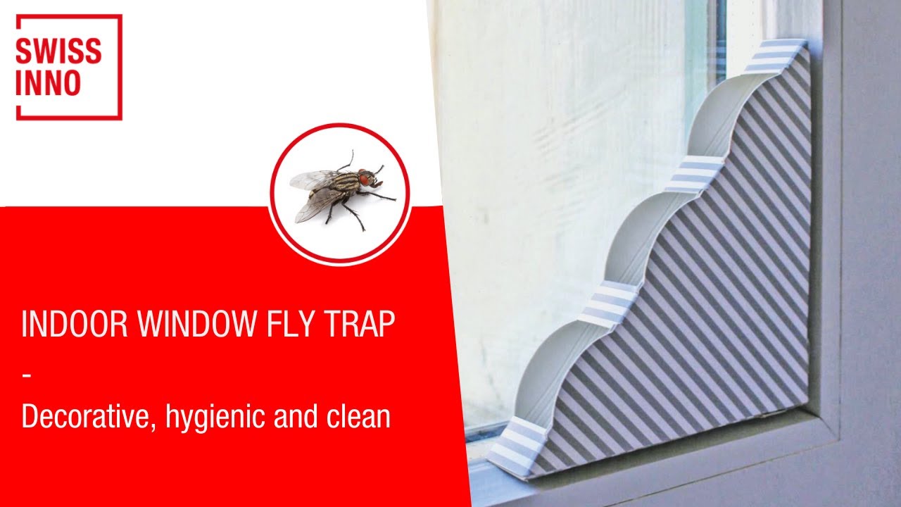 Trappify Indoor Window Fly Traps: Window Fly Trap for Indoor Home Pest Control - Fly, Gnat, and Other Flying Insect Killer with Extra Sticky Adhesive