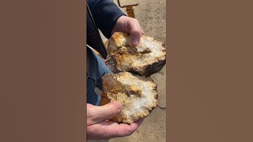 Day 14 of 31 Possible GEODES #shorts #geodes #geodetine