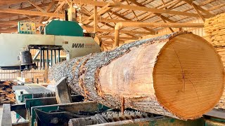 Watch This Big Red Oak Log Transform Into 150+ Board Feet of Lumber!