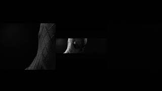 Spider-Man Prem Style