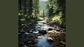 Stream's Gentle Current of Productivity
