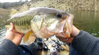 Ned Rig fishing at Lake McClure