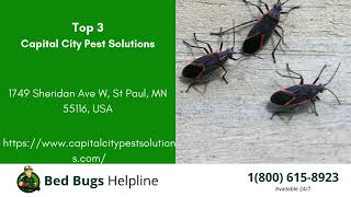 Top 3 Bed Bug Removal Companies in West St  Paul