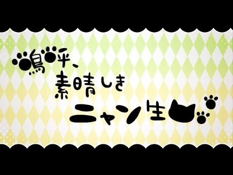 【もふ&カナタ】嗚呼、素晴らしきニャン生【歌ってみた】