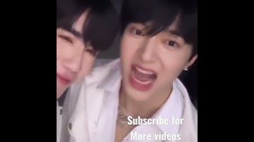 Cat Nunew Special pet of Hia🐱🐺July