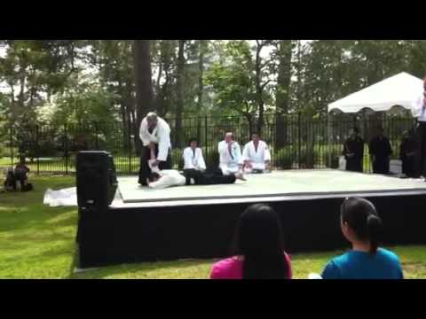 Aikido Japanese festival in Houston Andujar Sensei