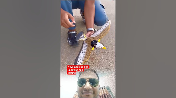 New model rc bird unboxing and testing #shortvideos #shorts #youtubeshorts
